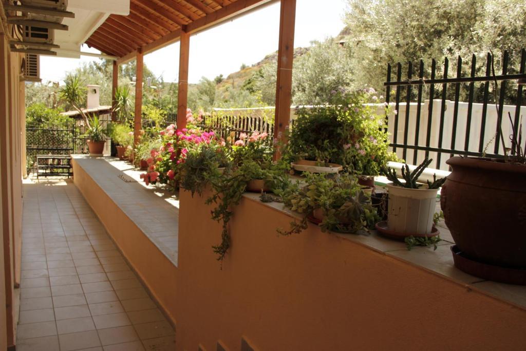 Hotel Galaxias Agioi Pandes Rum bild